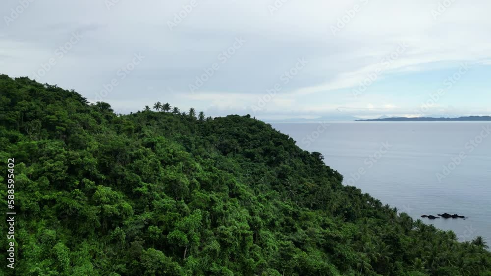 Aerial dolly over lush tropical hillside with palm trees and ocean views Aerial dolly over lush tropical hillside with palm trees and ocean views