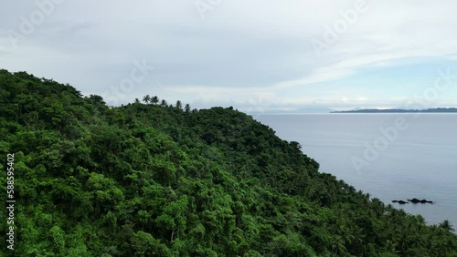 Wallpaper Mural Aerial dolly over lush tropical hillside with palm trees and ocean views Torontodigital.ca