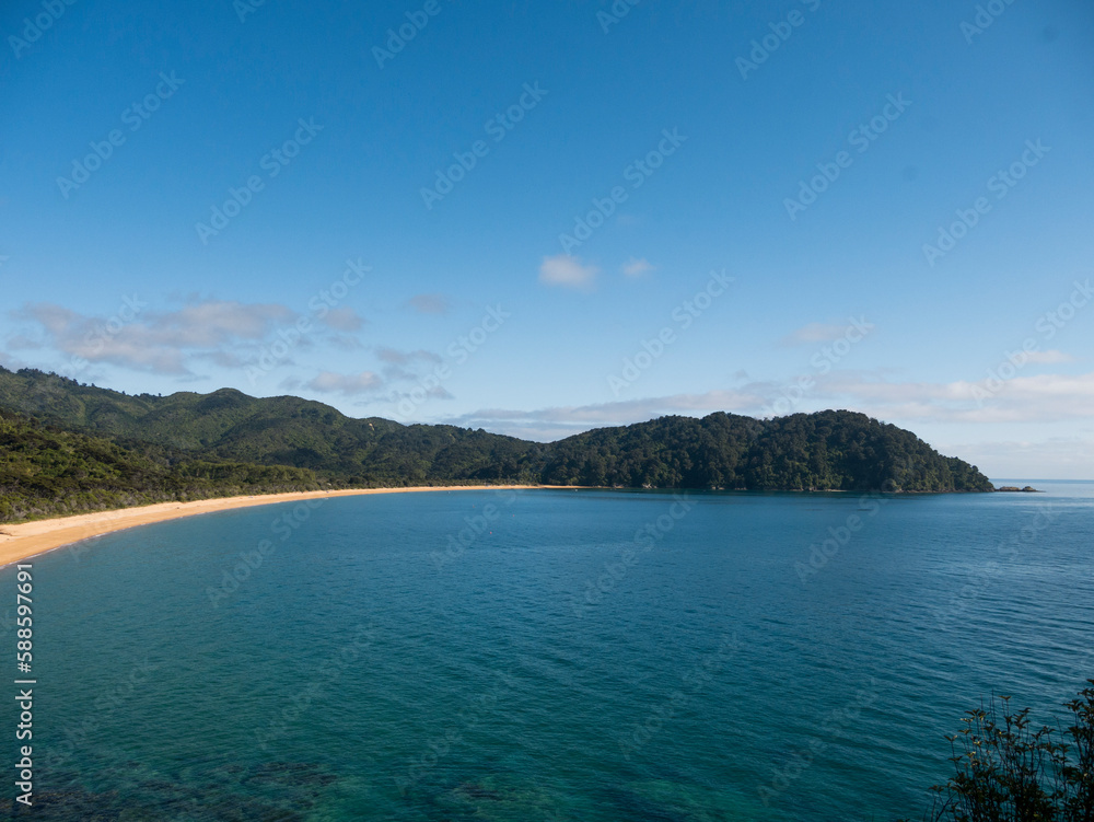 new zealand bay