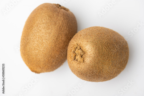 kiwi fruit