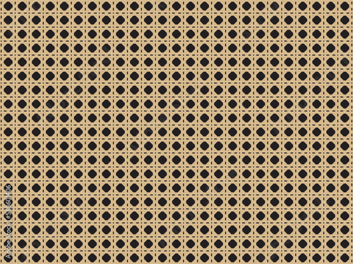 Rattan Cane Webbing Background  Vector