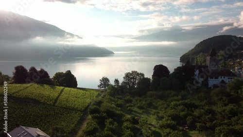 Orbiting around the medieval castle of Spiez at sunset. Flying along the lake towards the city. Canton Bern of Switzerland photo