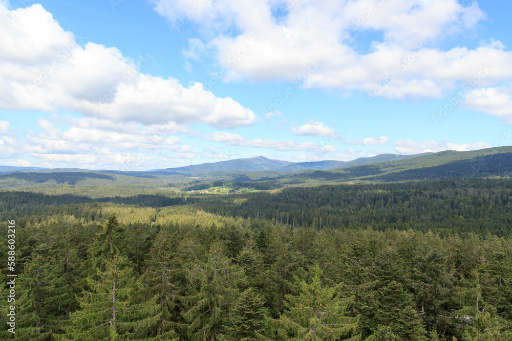 Mountain and tree panorama view seen from Treetop Walk Bavarian Forest in Bavarian Forest National Park, Germany