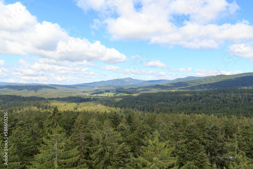 Mountain and tree panorama view seen from Treetop Walk Bavarian Forest in Bavarian Forest National Park, Germany