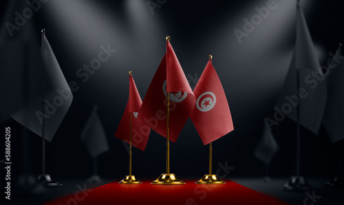 The Tunisia national flag on the red carpet