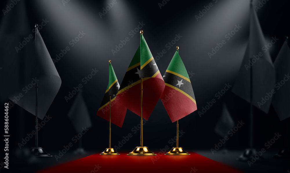 The Saint Kitts and Nevis national flag on the red carpet