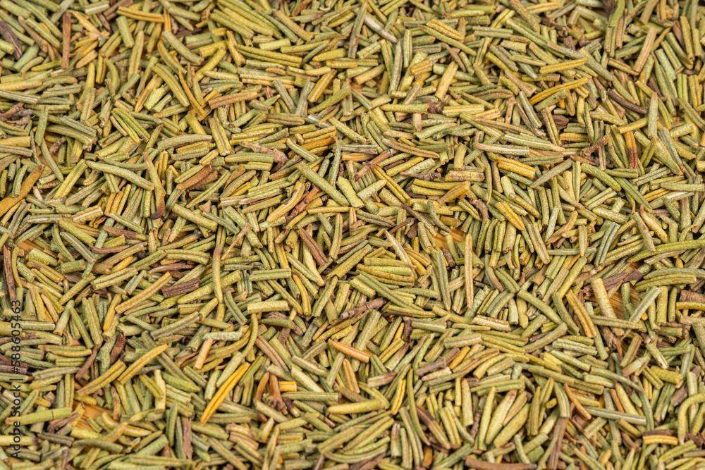 Dried rosemary spice background. Dry seasoning rosemary. Spices and herbs for cooking, provence herbs
