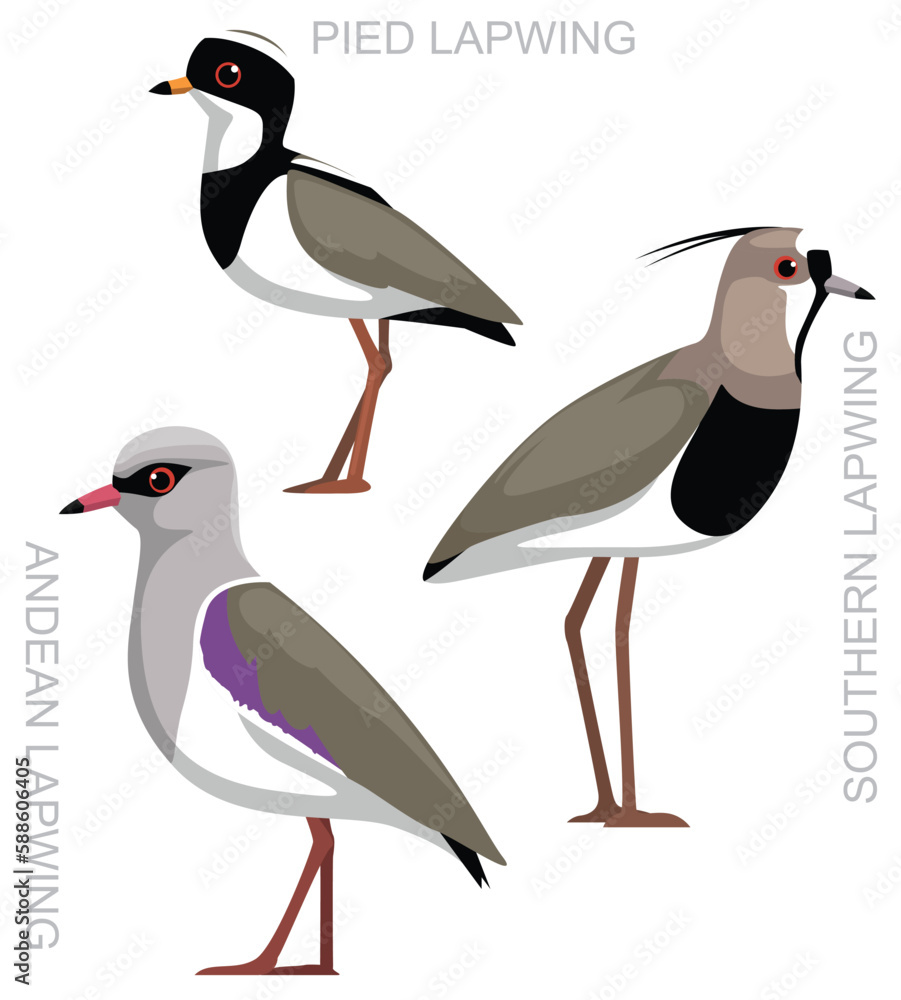 Fototapeta premium Cute Bird Southern Lapwing Set Cartoon Vector