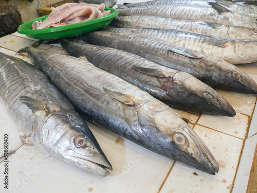 Murais de parede selectively focus on fresh mackerel