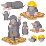 Set of mole cartoon character with head and facial expression