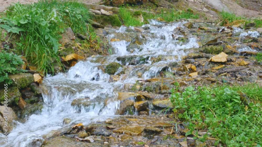 Pure brook, wellspring flowing down slope over stones between green bushes, grass. Pilgrimage and touristic place with beautiful sacred creeks. Russia, Pskov region, Izborsk, Slavonic springs. 4K UHD Pure brook, wellspring flowing down slope over stones between green bushes, grass. Pilgrimage and touristic place with beautiful sacred creeks. Russia, Pskov region, Izborsk, Slavonic springs. 4K UHD