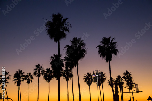 Palm Trees and Ocean Sunsets