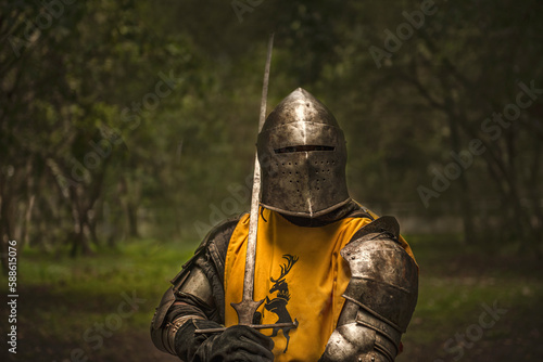 Caballero, medieval, justas, 