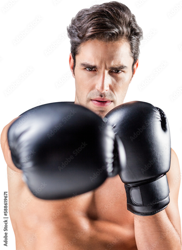 Boxer performing upright stance