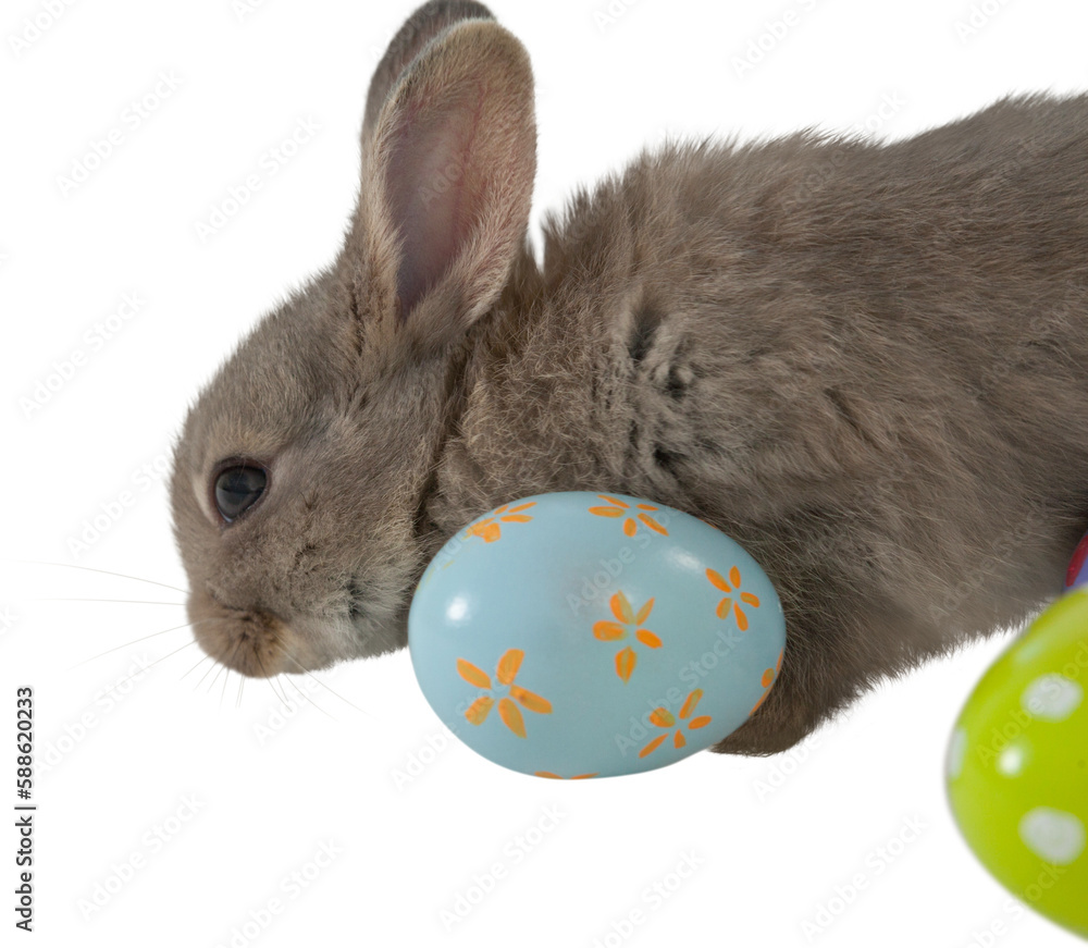 Naklejka premium Bunny with floral pattern Easter egg