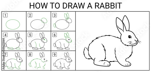 How to draw a rabbit? - 9 steps how to draw a rabbit from simple shapes. Vector illustration for self-drawing. Lessons in drawing a cute hare.