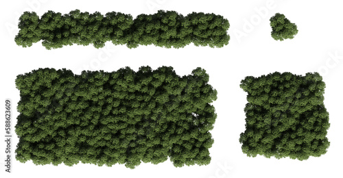 trees in the forest, top view, area view, isolated on transparent background, 3D illustration, cg render 