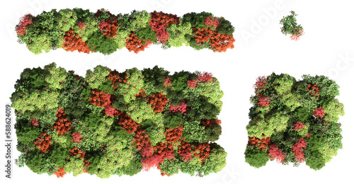 trees in the forest, top view, area view, isolated on transparent background, 3D illustration, cg render 