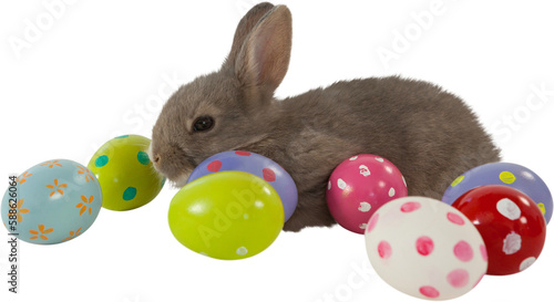 Brown bunny with colorful Easter egg