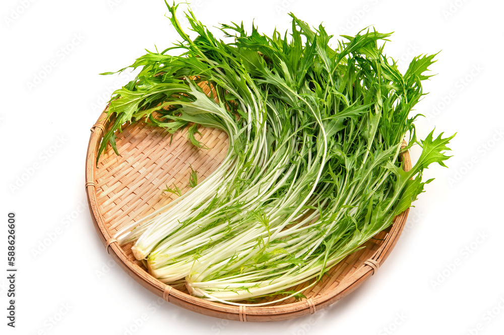 緑黄色野菜の水菜