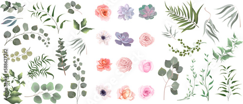 Vector set of flowers and herbs. Pink roses  white anemones  succulent  flowers and plants on a white background. Collection of greenery  eucalyptus.