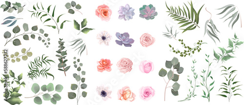 Vector set of flowers and herbs. Pink roses, white anemones, succulent, flowers and plants on a white background. Collection of greenery, eucalyptus.