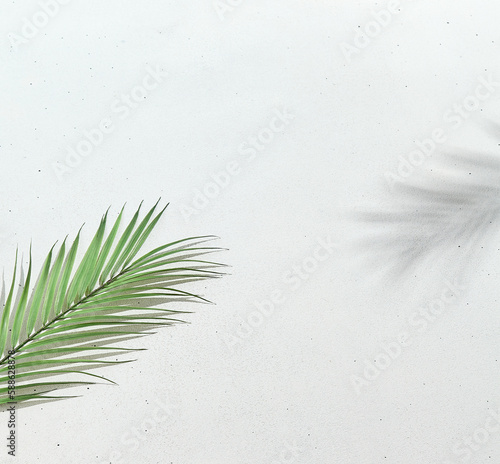 White banner with palm leaves and shadow. Minimal light backdrop. Composition with palm leaves and empty place. Trendy wallpaper. White concrete background and palm leaves shadow.