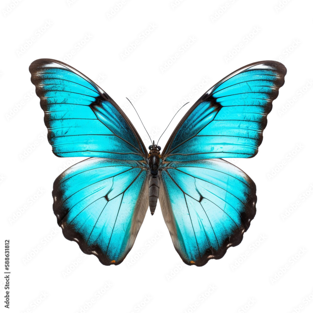 Fototapeta premium butterfly isolated on white, transparent background, PNG , digital ai art 