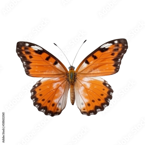 butterfly isolated on white, transparent background, PNG , digital ai art     © HappyTime 17