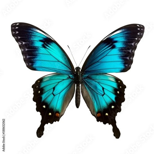 butterfly isolated on white, transparent background, PNG , digital ai art	
	
