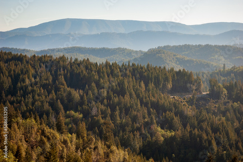 Forest Overlook at Redwood National Park © Zack Frank