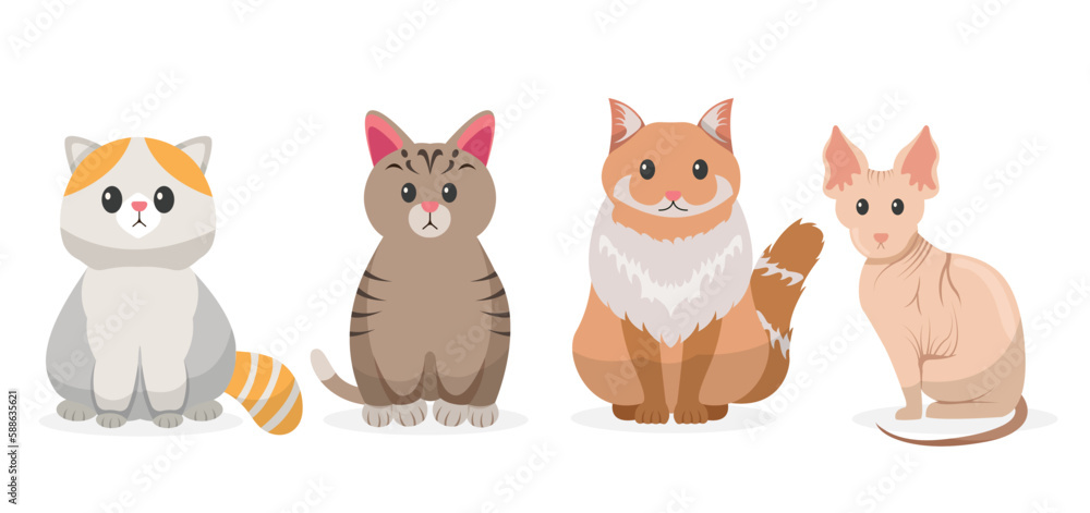 Fototapeta premium cat cartoon. pet characters illustration 
