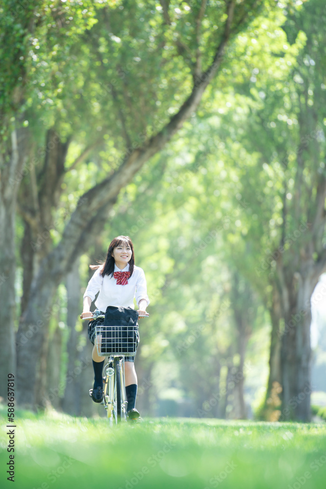 ポプラ並木で自転車に乗る女子学生 ポプラ並木で自転車に乗る女子学生