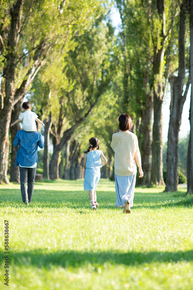 ポプラ並木を歩く家族の後姿 ポプラ並木を歩く家族の後姿