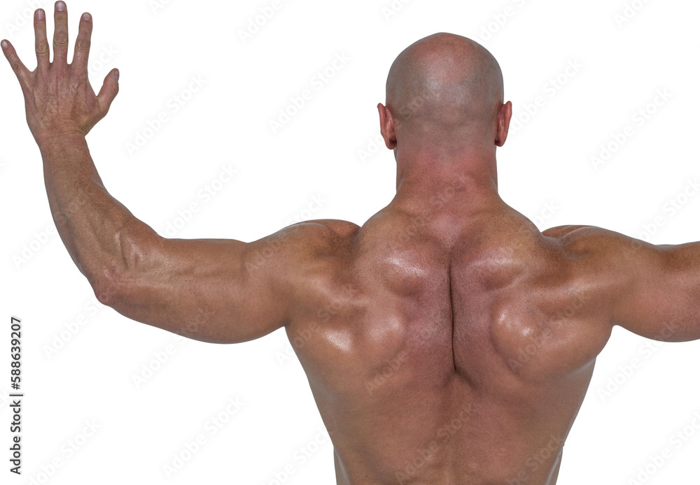 Rear view of bodybuilder with arms raised