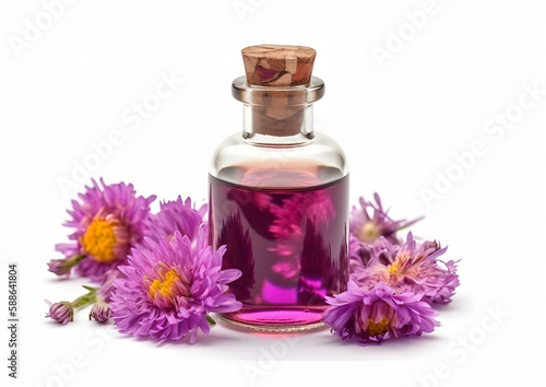 Sophisticated Essential Aster Oil in Glass Bottle with Fresh Aster Flowers isolated on white  Generative AI
