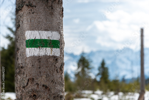 Marking the green trail on the tree. Mountains in the background. The green trail to Rusinowa Polana in the Tatra Mountains. Poland