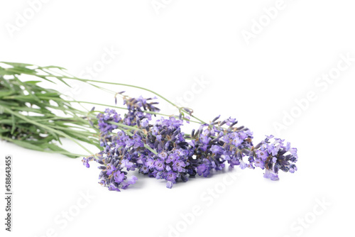 Fototapeta Naklejka Na Ścianę i Meble -  Concept of cozy with flowers, lavender, isolated on white background