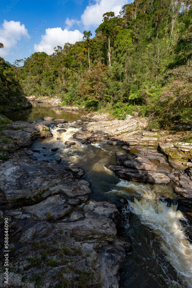Obraz premium Madagascar mountain river in tropical forest on the hills. Sunny day. Ranomafana national park. Madagascar wilderness landscape