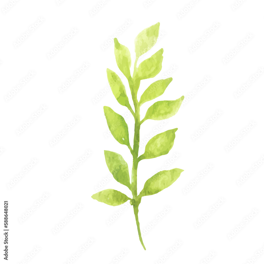 Fototapeta premium Watercolor Leaf
