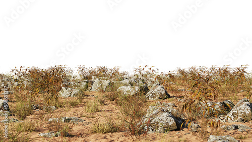 desert landscape cut-out, dry plants with rocks isolated on transparent background