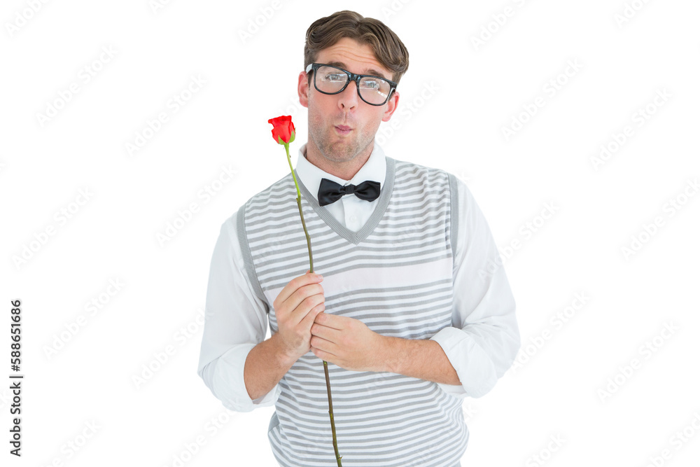 Fototapeta premium Geeky hipster holding a red rose 