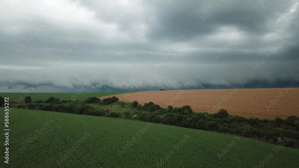 Drone flying over vegetable crop field with storm coming from the horizon to water it.