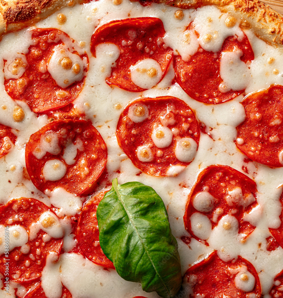 Closeup on freshly baked pizza pepperoni with cheese and basil Closeup on freshly baked pizza pepperoni with cheese and basil