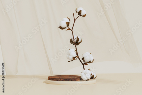 Minimal composition with Branch white cotton flowers, wooden podium on beige background. Delicate light beauty cotton background. Natural organic fiber, raw materials for making fabric. 3d render photo