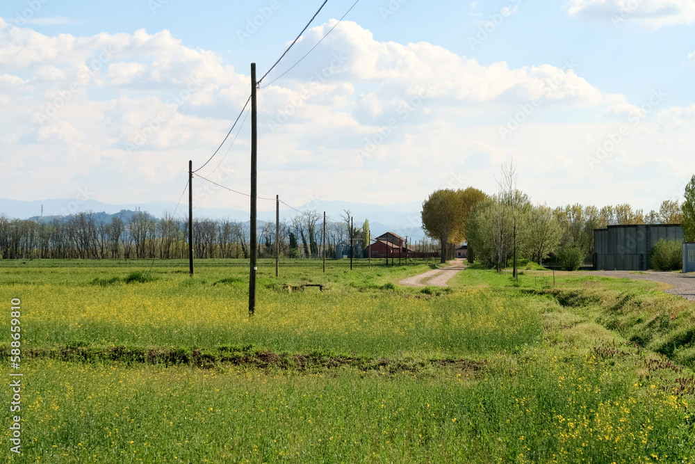 Fototapeta premium Po Valley Panorama Landscape Fields Agriculture Sky Horizon Color Blue Trees Earth Terrain Italy Italian