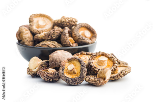 Dried shiitake mushrooms isolated on white background.