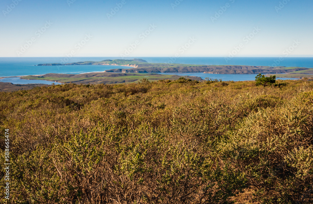 Overlook of the Forest and Coast at Point Reyes National Seashore Overlook of the Forest and Coast at Point Reyes National Seashore