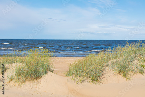 Fototapeta Naklejka Na Ścianę i Meble -  View of the sand dunes and Gulf of Bothnia on the background, Marjaniemi, Hailuoto, Finland