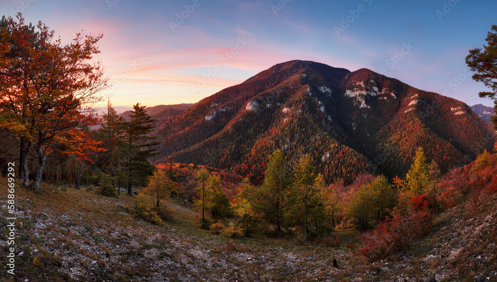Panorama landscape at sunset with autumn forest, rocks, sun and mountain.
